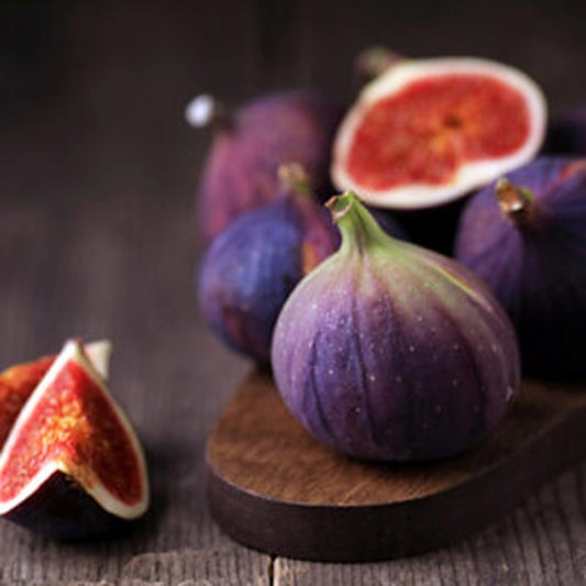 Fig Dark Balsamic